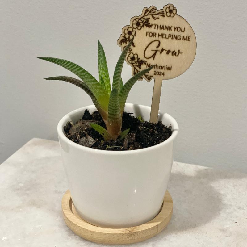 Personalised Succulent Planter Stake